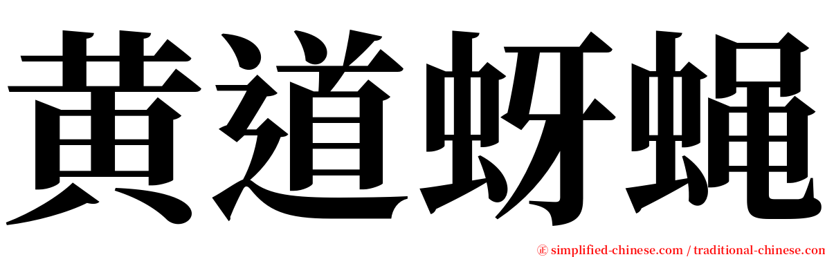 黄道蚜蝇 serif font