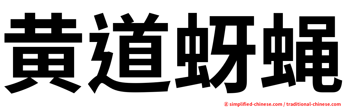 黄道蚜蝇