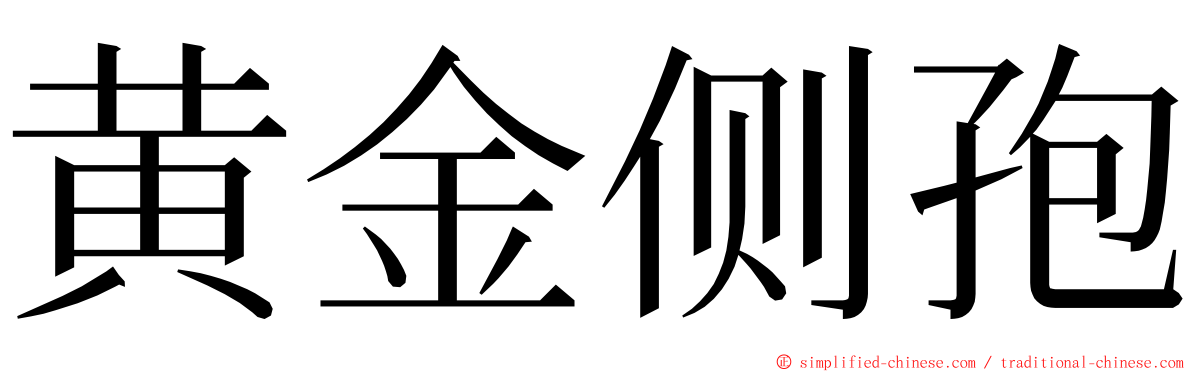 黄金侧孢 ming font