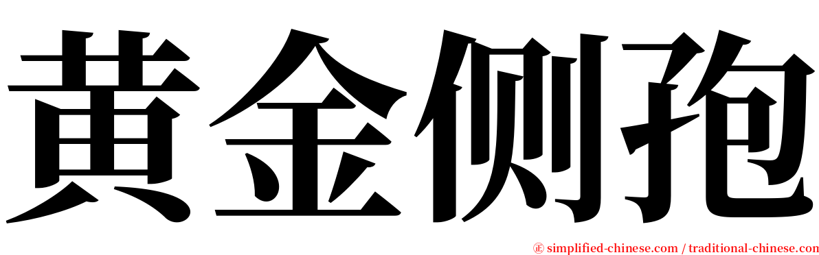黄金侧孢 serif font