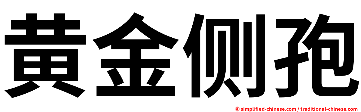 黄金侧孢