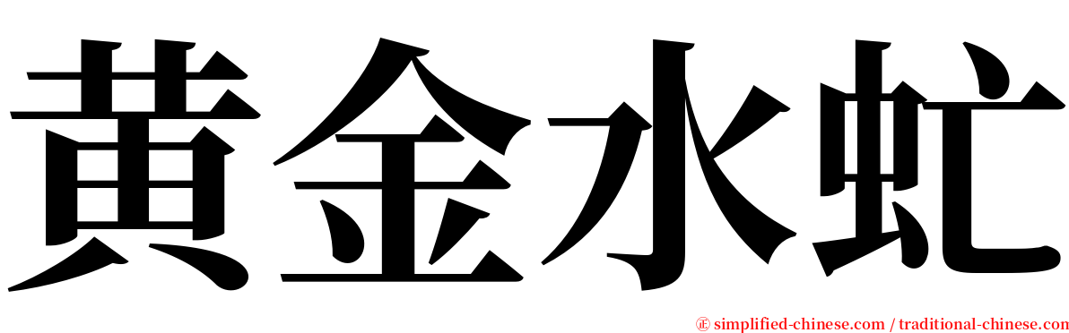 黄金水虻 serif font
