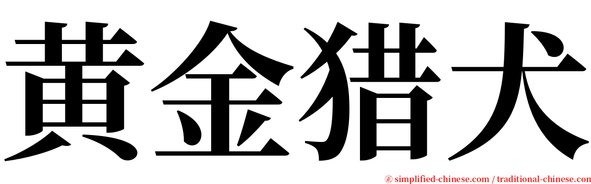 黄金猎犬 serif font