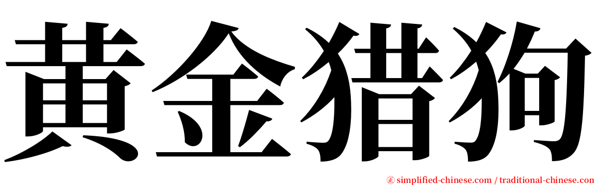 黄金猎狗 serif font