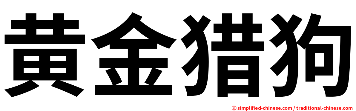 黄金猎狗