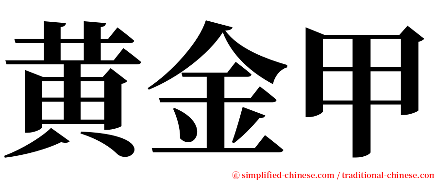 黄金甲 serif font