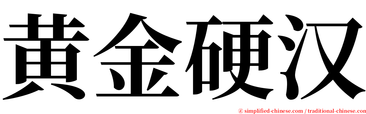 黄金硬汉 serif font