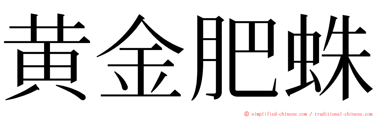 黄金肥蛛 ming font
