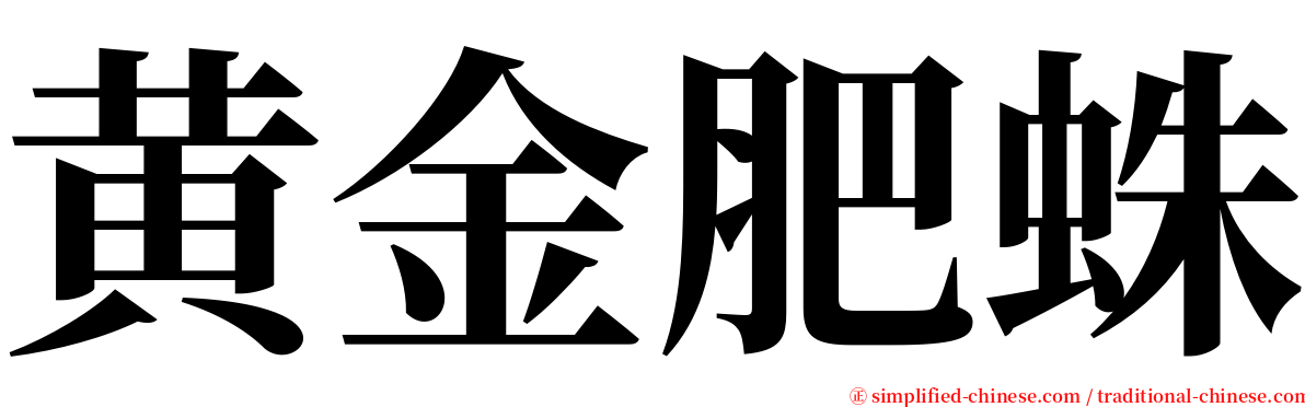 黄金肥蛛 serif font