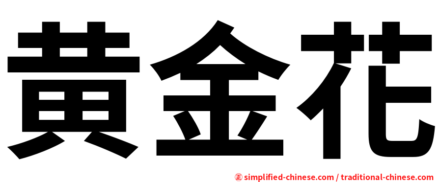 黄金花
