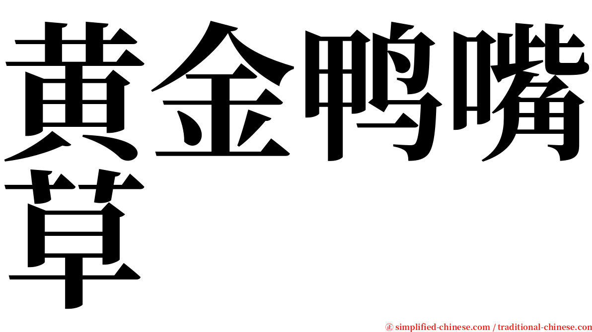 黄金鸭嘴草 serif font