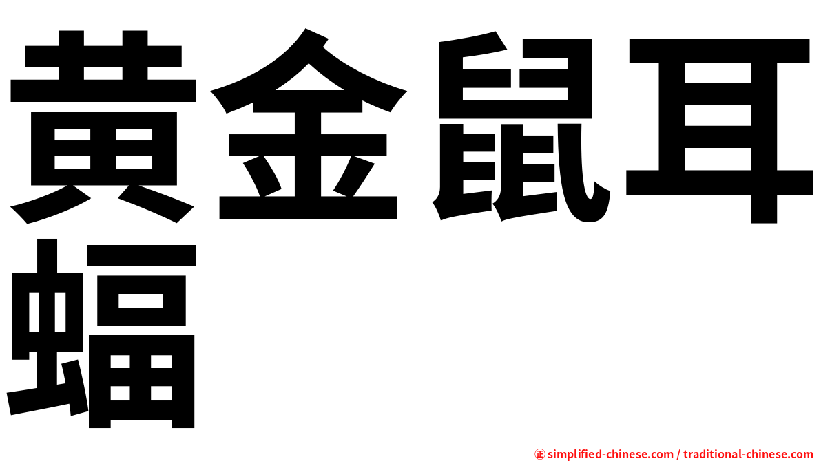 黄金鼠耳蝠