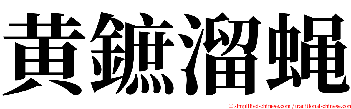 黄鏣溜蝇 serif font