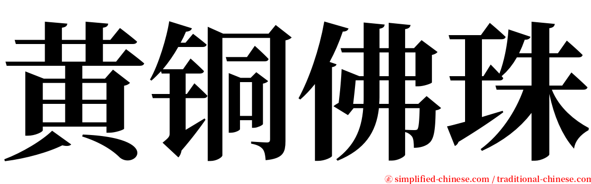 黄铜佛珠 serif font