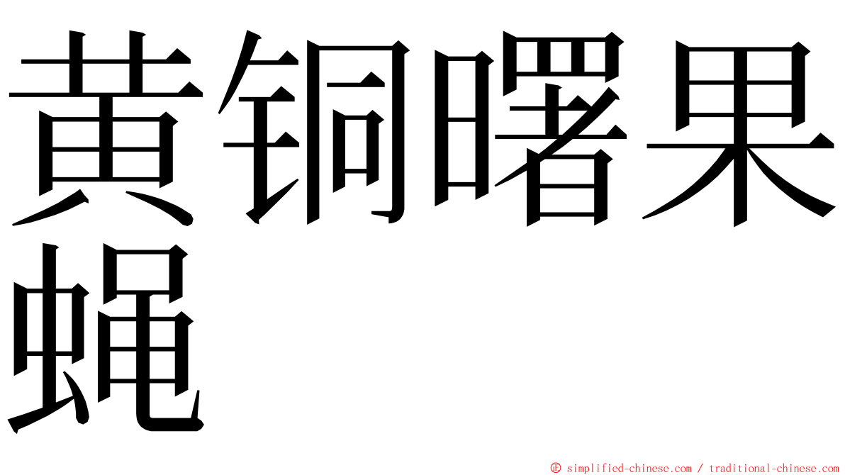 黄铜曙果蝇 ming font