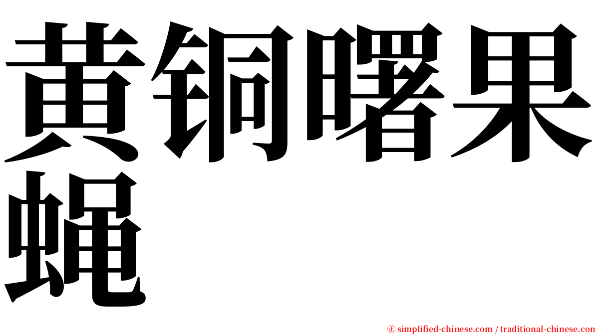 黄铜曙果蝇 serif font