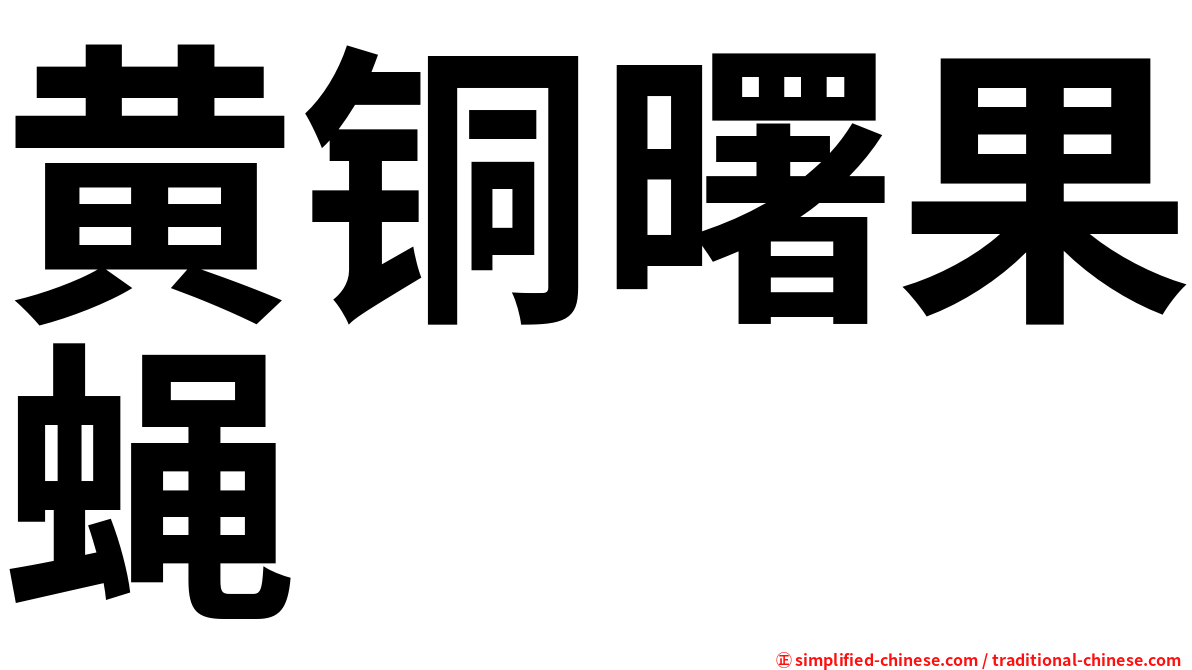 黄铜曙果蝇