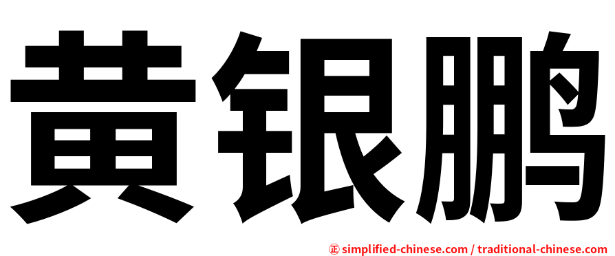 黄银鹏