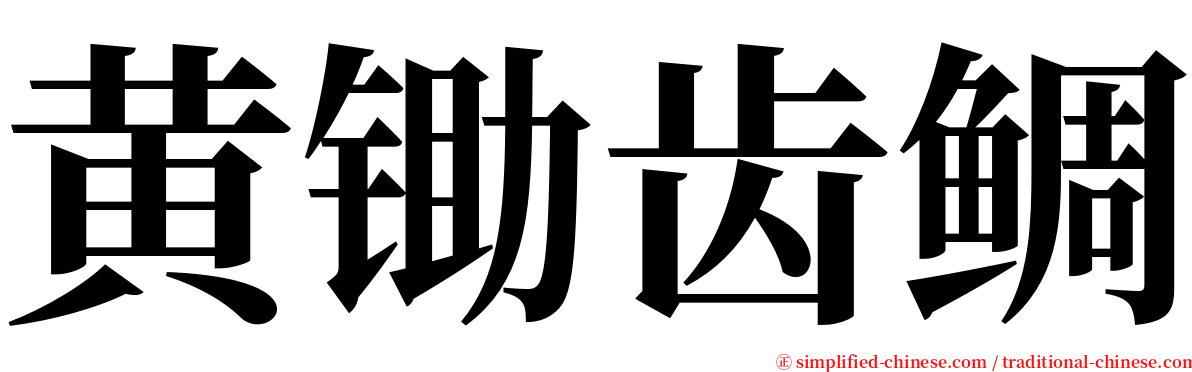 黄锄齿鲷 serif font
