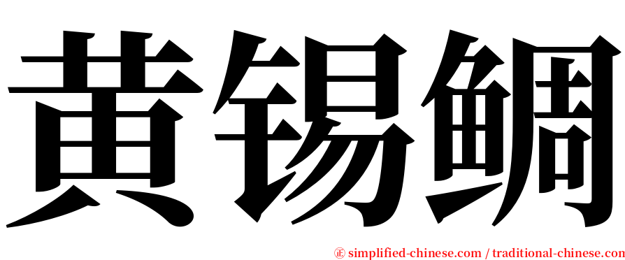 黄锡鲷 serif font