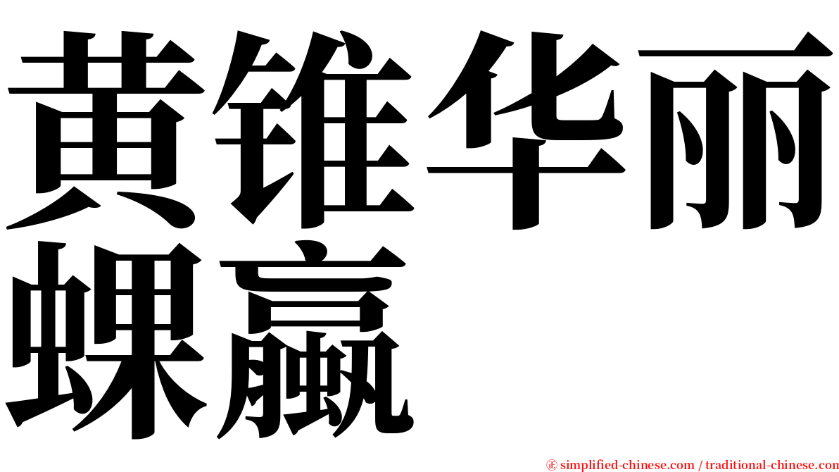黄锥华丽蜾蠃 serif font