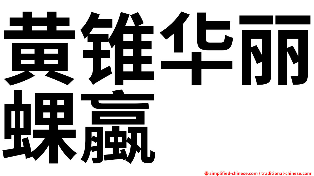 黄锥华丽蜾蠃