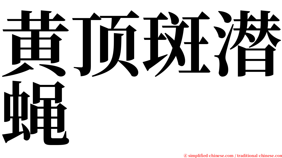 黄顶斑潜蝇 serif font