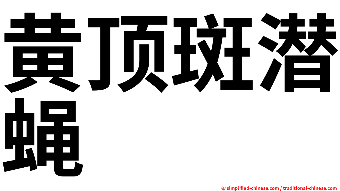 黄顶斑潜蝇