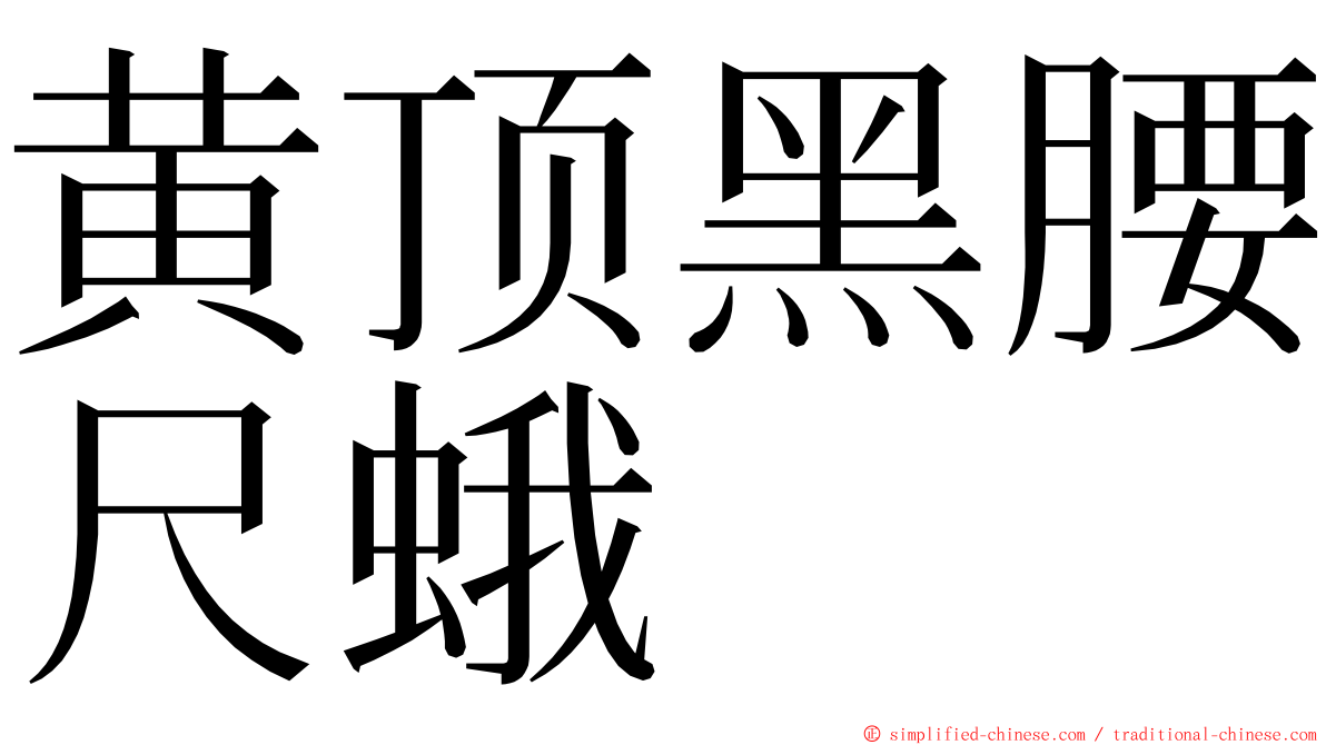 黄顶黑腰尺蛾 ming font