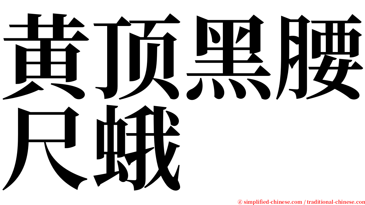 黄顶黑腰尺蛾 serif font