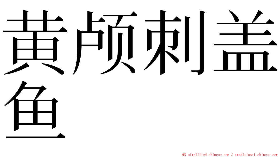 黄颅刺盖鱼 ming font