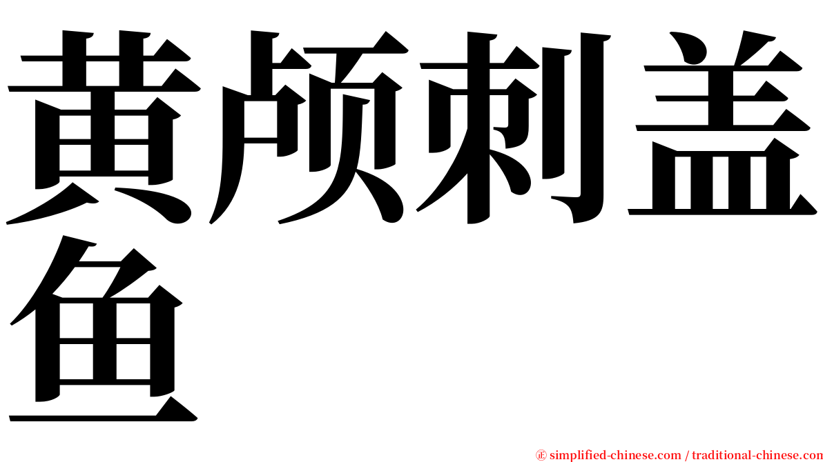 黄颅刺盖鱼 serif font