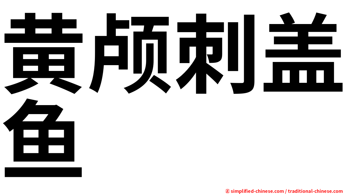 黄颅刺盖鱼