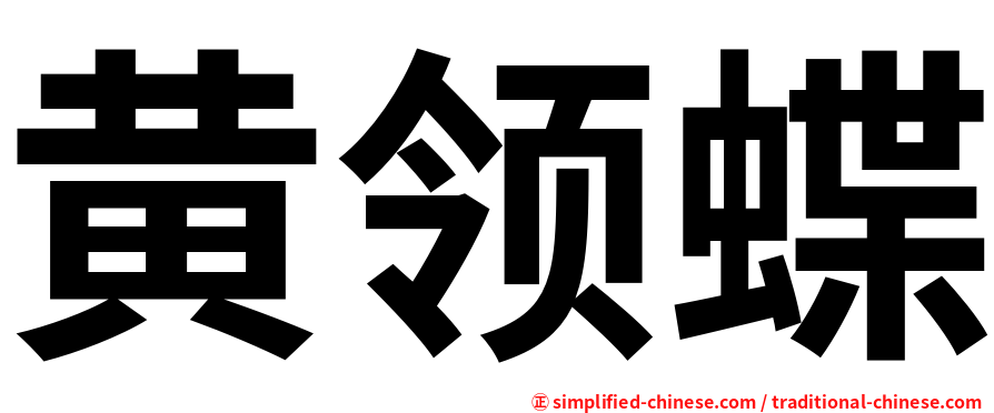 黄领蝶