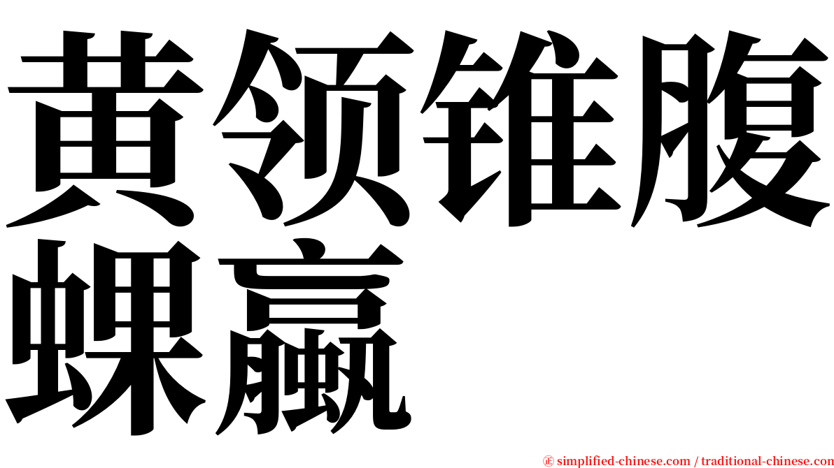 黄领锥腹蜾蠃 serif font