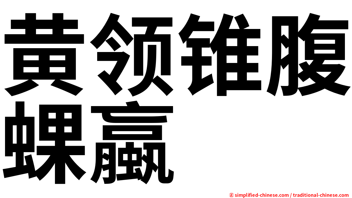 黄领锥腹蜾蠃