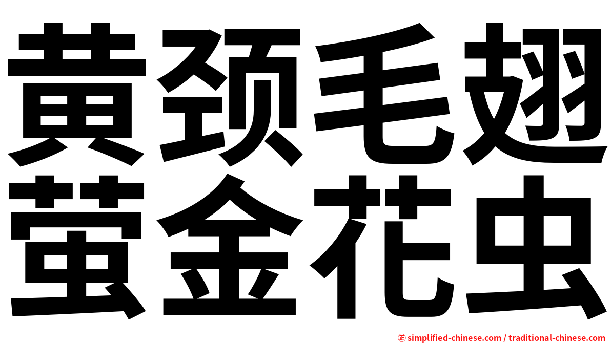 黄颈毛翅萤金花虫