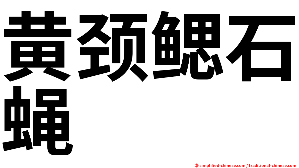 黄颈鳃石蝇