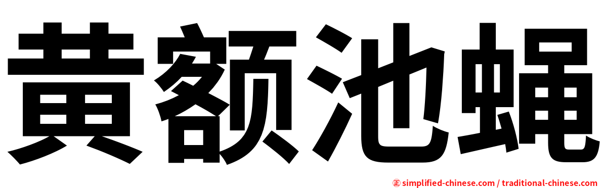 黄额池蝇