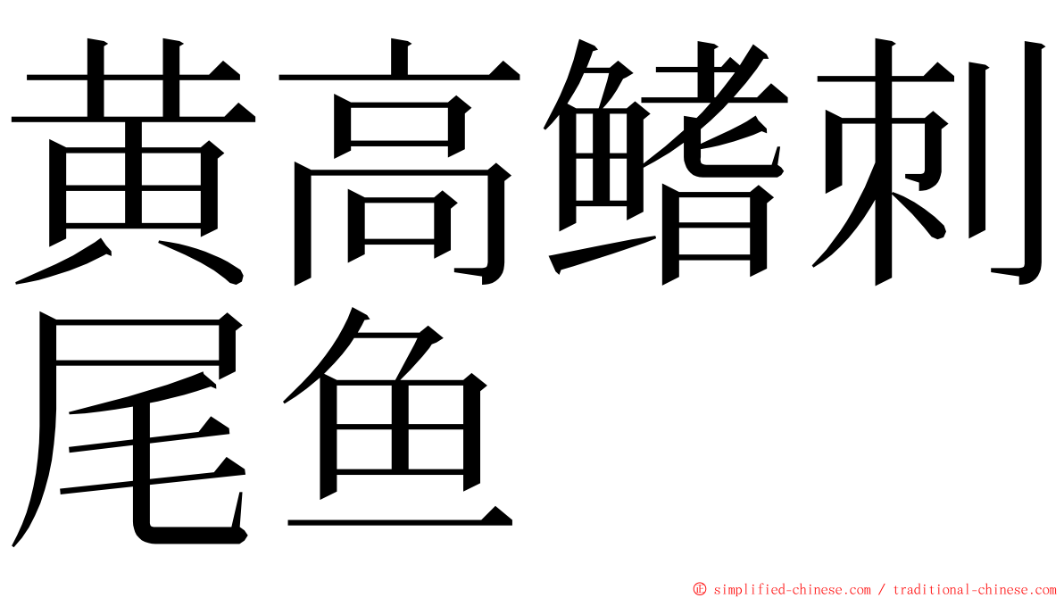 黄高鳍刺尾鱼 ming font