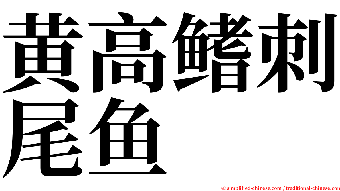 黄高鳍刺尾鱼 serif font
