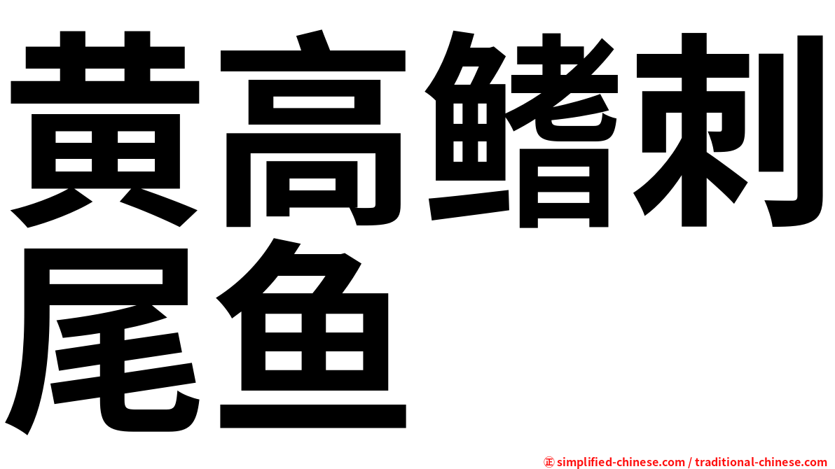黄高鳍刺尾鱼