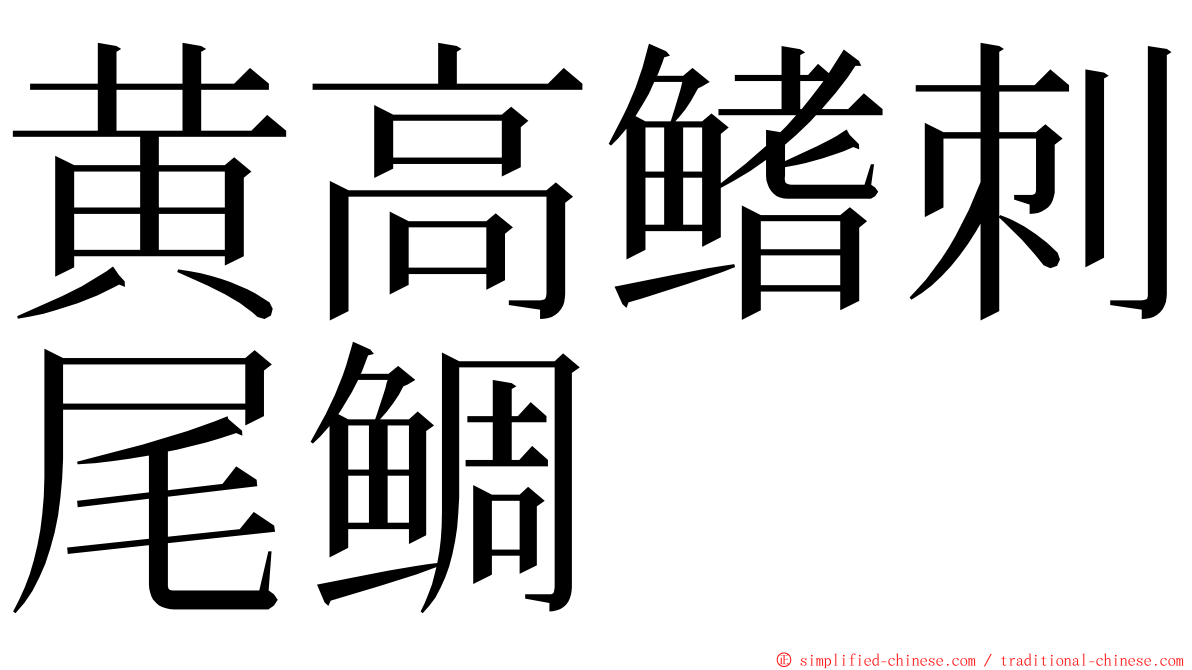 黄高鳍刺尾鲷 ming font