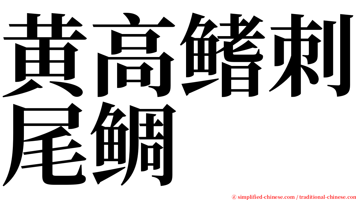 黄高鳍刺尾鲷 serif font