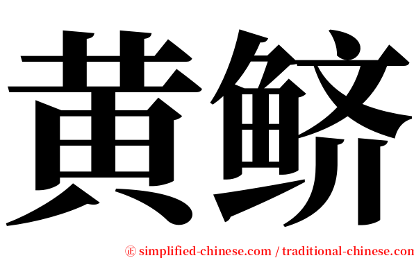 黄鲚 serif font