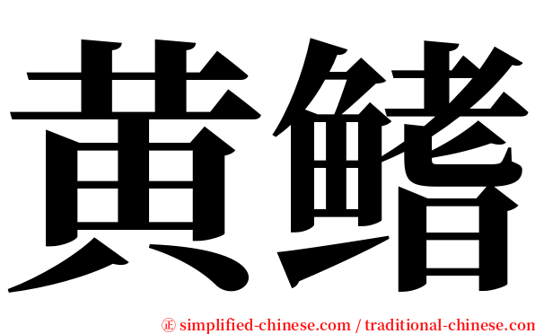 黄鳍 serif font