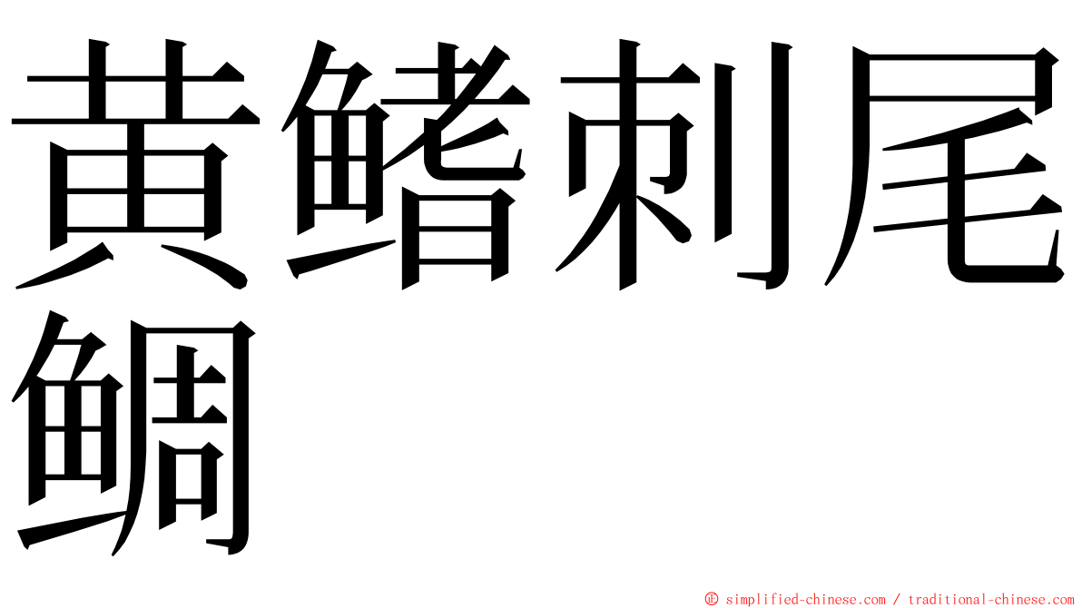 黄鳍刺尾鲷 ming font