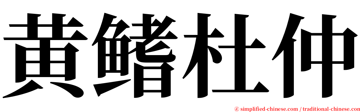 黄鳍杜仲 serif font