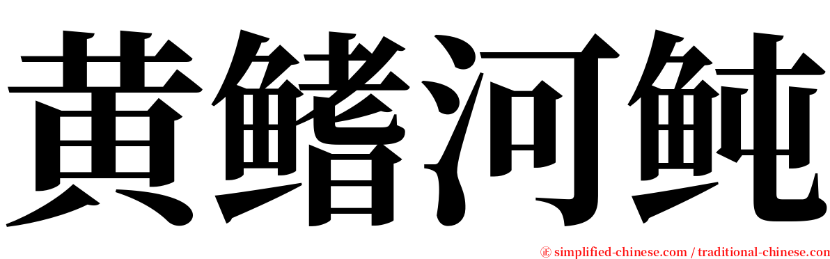 黄鳍河鲀 serif font