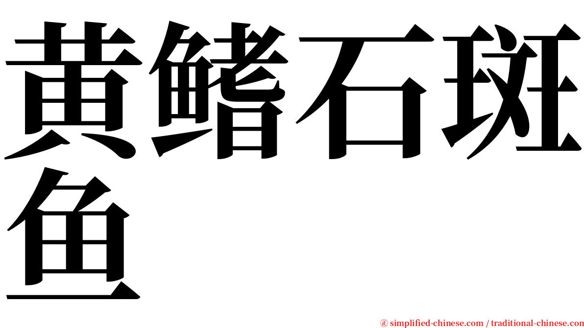 黄鳍石斑鱼 serif font